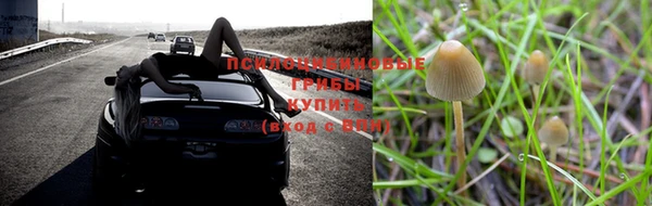 мяу мяу мука Медвежьегорск