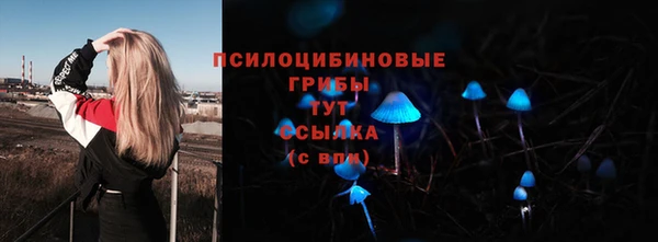 мяу мяу мука Медвежьегорск
