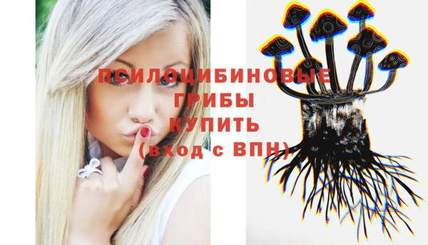 тгк Мегион