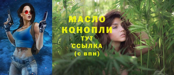 гидра Михайлов
