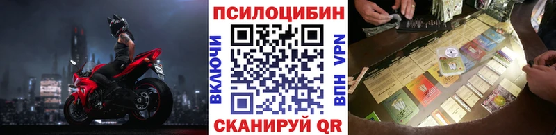 продажа наркотиков  ОМГ ОМГ маркетплейс  Псилоцибиновые грибы ЛСД  Шумерля 