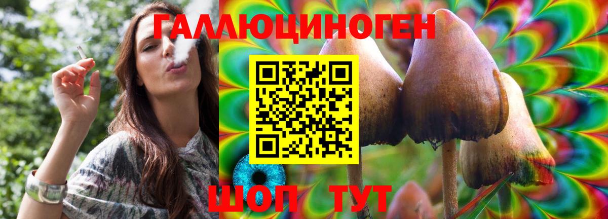 Шумерля  Галлюциногенные грибы GOLDEN TEACHER  Вход с VPN 